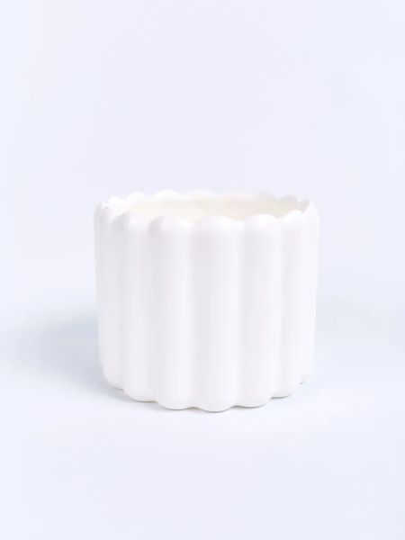 7725803746