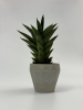 7957151280